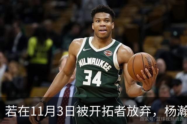 若在11月3日被开拓者放弃，杨瀚森将迎来三条出路